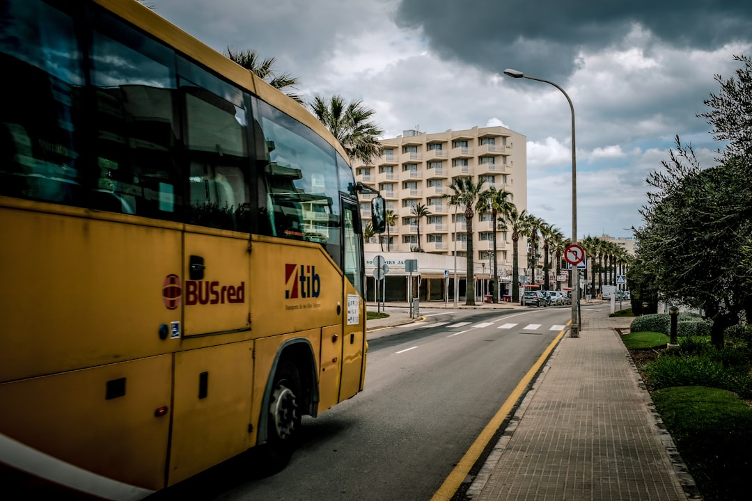 a yellow bus on the street